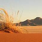 Namib Desert