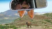 Fully Guided Safari